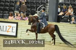 24BUCK_10264 thumbnail