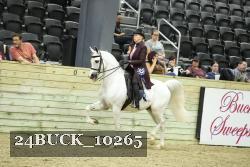 24BUCK_10265 thumbnail