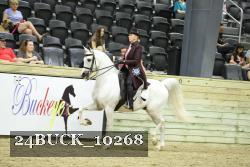 24BUCK_10268 thumbnail