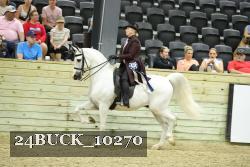24BUCK_10270 thumbnail
