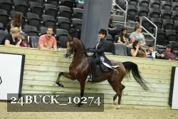 24BUCK_10274 thumbnail