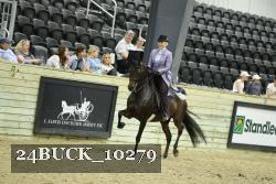 24BUCK_10279 thumbnail