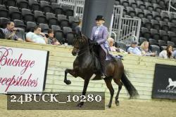 24BUCK_10280 thumbnail