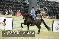 24BUCK_10282 thumbnail
