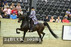 24BUCK_10284 thumbnail