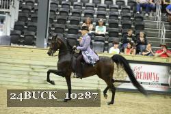 24BUCK_10287 thumbnail