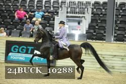 24BUCK_10288 thumbnail