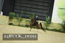 24BUCK_10291 thumbnail