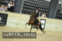 24BUCK_10293 thumbnail