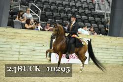 24BUCK_10295 thumbnail