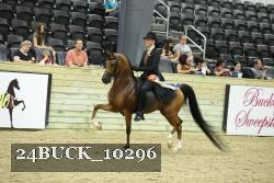 24BUCK_10296 thumbnail