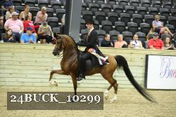 24BUCK_10299 thumbnail