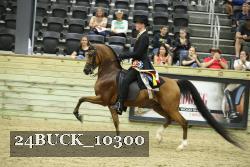 24BUCK_10300 thumbnail