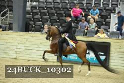 24BUCK_10302 thumbnail