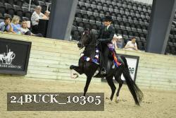 24BUCK_10305 thumbnail