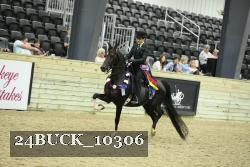 24BUCK_10306 thumbnail