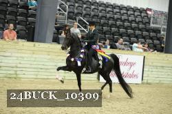 24BUCK_10309 thumbnail