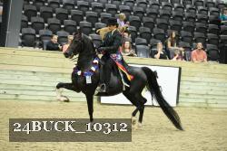 24BUCK_10312 thumbnail