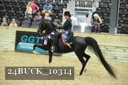 24BUCK_10314 thumbnail