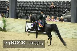 24BUCK_10315 thumbnail