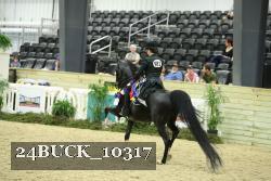24BUCK_10317 thumbnail
