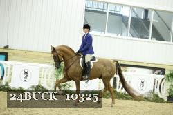 24BUCK_10325 thumbnail