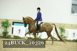 24BUCK_10326 thumbnail