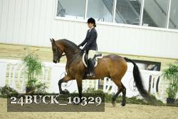 24BUCK_10329 thumbnail