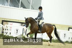 24BUCK_10330 thumbnail