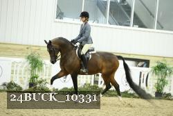 24BUCK_10331 thumbnail