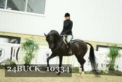 24BUCK_10334 thumbnail