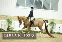 24BUCK_10336 thumbnail