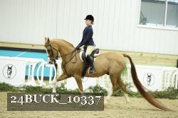 24BUCK_10337 thumbnail