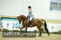 24BUCK_10339 thumbnail