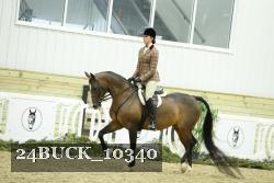 24BUCK_10340 thumbnail