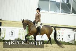 24BUCK_10341 thumbnail