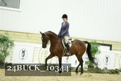 24BUCK_10344 thumbnail