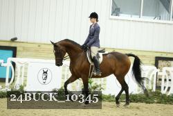 24BUCK_10345 thumbnail