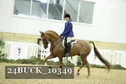 24BUCK_10349 thumbnail