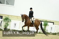24BUCK_10350 thumbnail