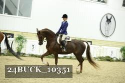 24BUCK_10351 thumbnail