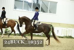 24BUCK_10352 thumbnail