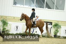 24BUCK_10358 thumbnail