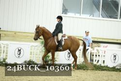 24BUCK_10360 thumbnail