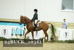 24BUCK_10361 thumbnail