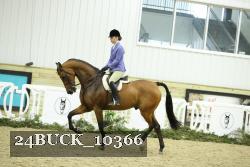 24BUCK_10366 thumbnail