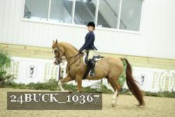 24BUCK_10367 thumbnail