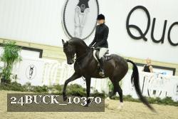 24BUCK_10370 thumbnail