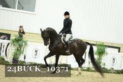 24BUCK_10371 thumbnail