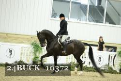 24BUCK_10372 thumbnail